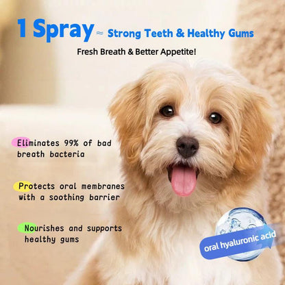 Spray Para Controlar el Sarro en Perros